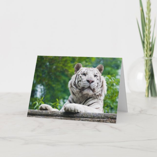 White Tiger greeting card (Front)