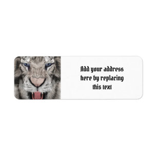 White Tiger Head Wildlife Aesthetic