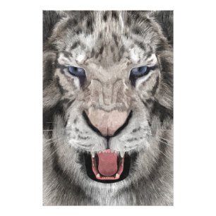 White Tiger Head Wildlife Aesthetic Photo Print