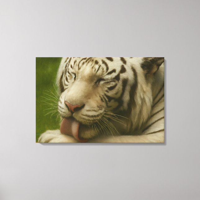 White Tiger in Private Grooming Ritual Canvas Print (Front)
