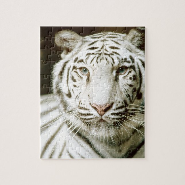 White Tiger Jigsaw Puzzle (Vertical)
