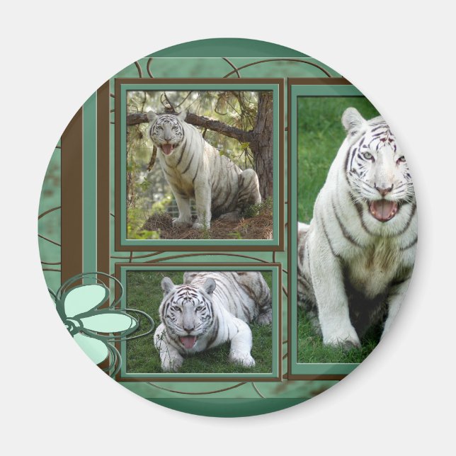 White Tiger Magnet (Front)