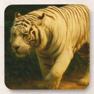 White Tiger Majesty – Stylized Wildlife Art Print Coaster