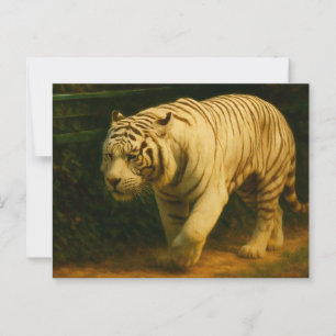 White Tiger Majesty – Stylized Wildlife Art Print Postcard