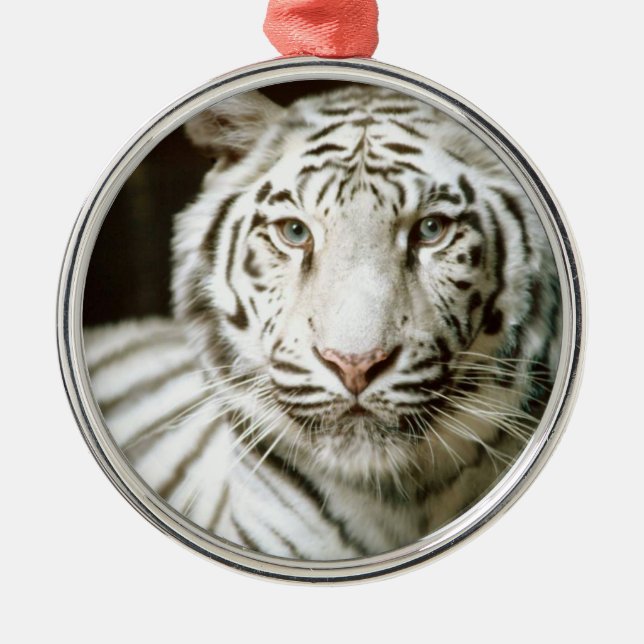 White Tiger Metal Ornament (Front)