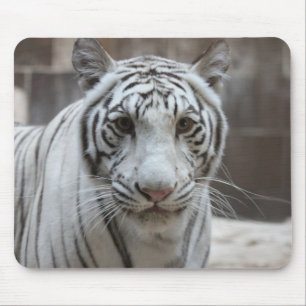 White Tiger mousepad