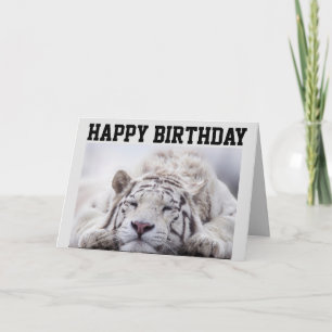 WHITE TIGER NAP, EAT CAKE, BIRTHDAY CARD