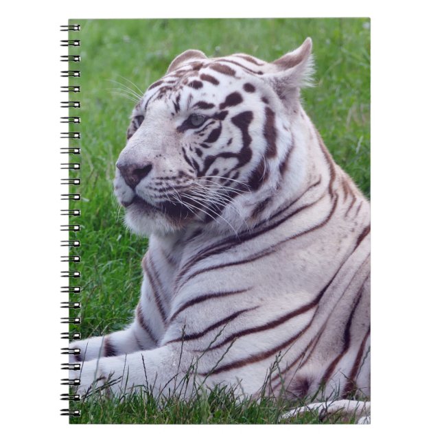 White Tiger Notebook (Front)