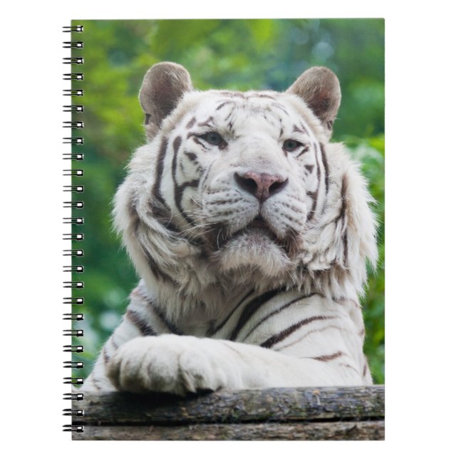 White Tiger notebook (Front)
