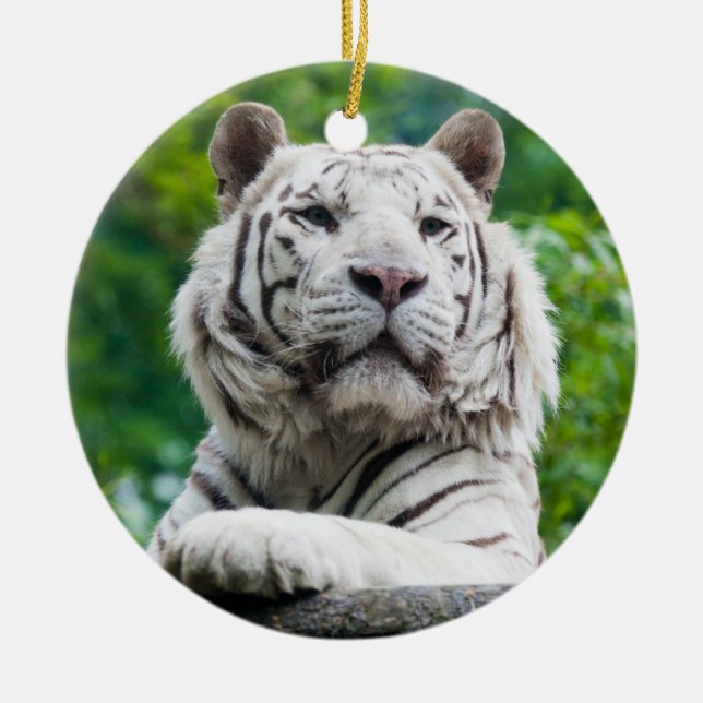 White Tiger ornament (Front)