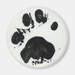 White Tiger Paw Print Magnet
