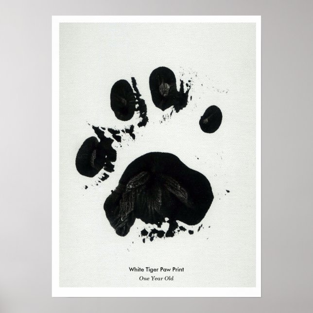 White Tiger Paw Print Poster (Front)