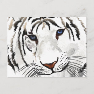 White Tiger Post Card