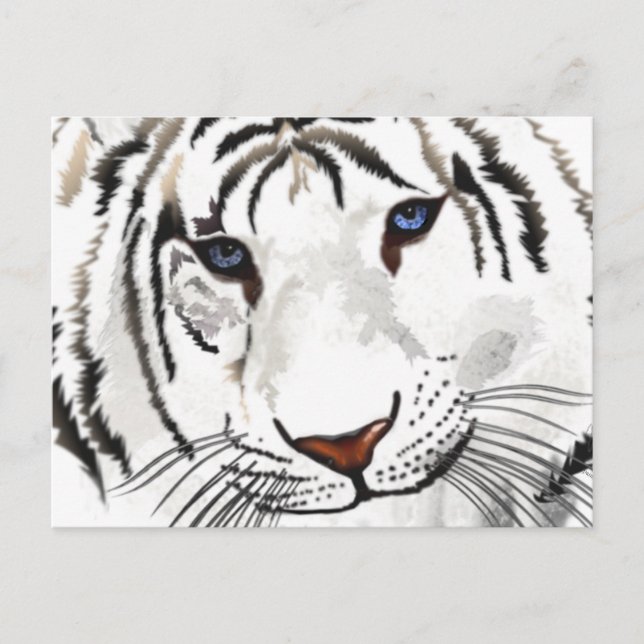 White Tiger Post Card (Front)