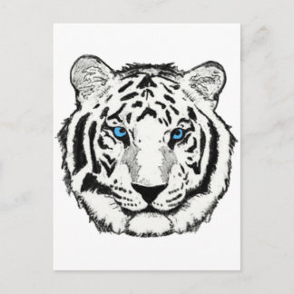 White tiger postcard