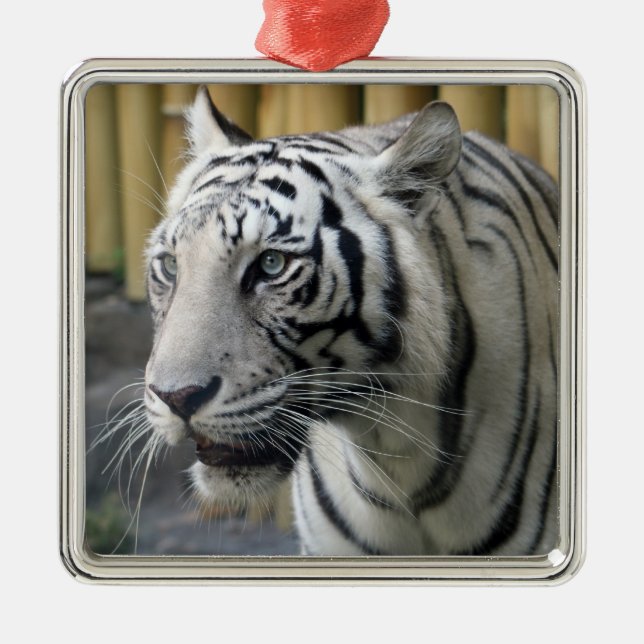 White Tiger Premium Ornament (Front)