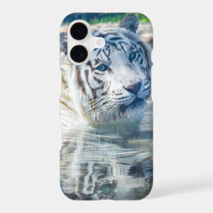 White Tiger reflection
