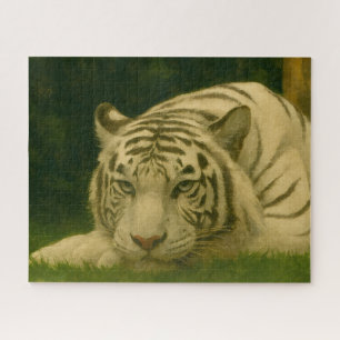White Tiger Resting in Woodland Shade Jigsaw Puzzle