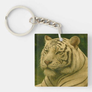 White Tiger Resting in Woodland Shade Keychain