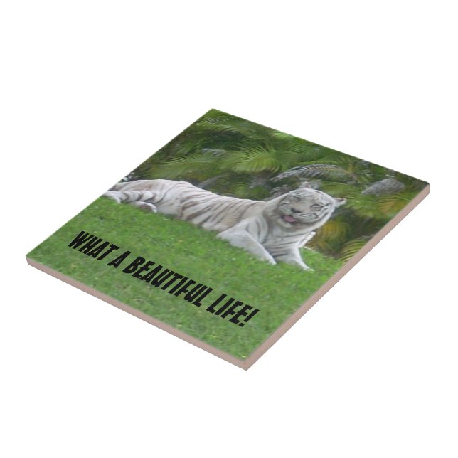 White Tiger Resting Under Warm Meadow Light Tile (Side)