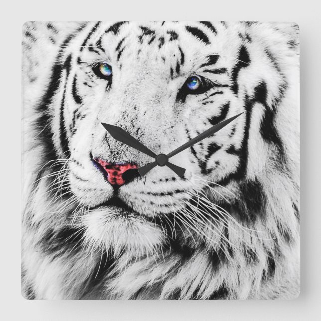 White Tiger Square Wall Clock (Front)