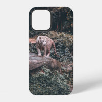 WHITE TIGER STANDING ON GREY STONE