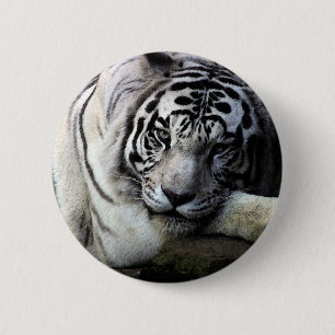 White Tiger Stare 2 Inch Round Button