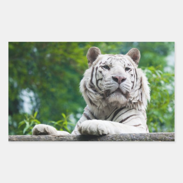 White Tiger stickers (Front)