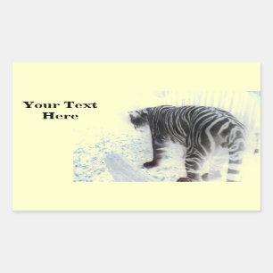 White Tiger wild animal Sticker