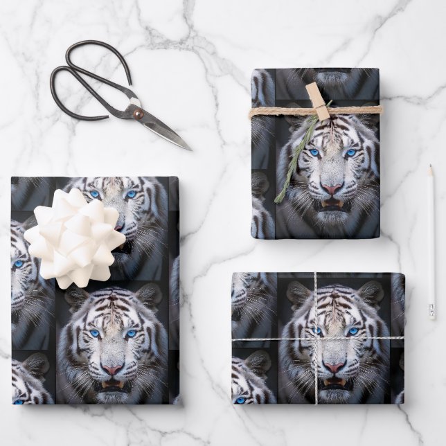 White Tiger with Blue Eyes Wrapping Paper Sheet (Front)