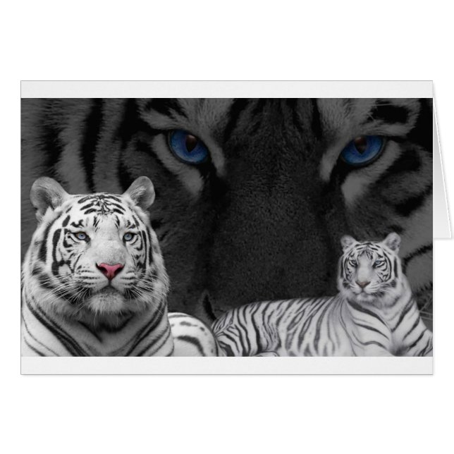 White Tigers (Front Horizontal)