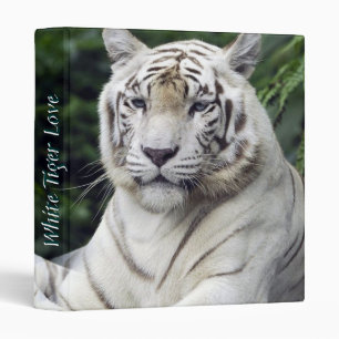 White Tigers 1 Binders