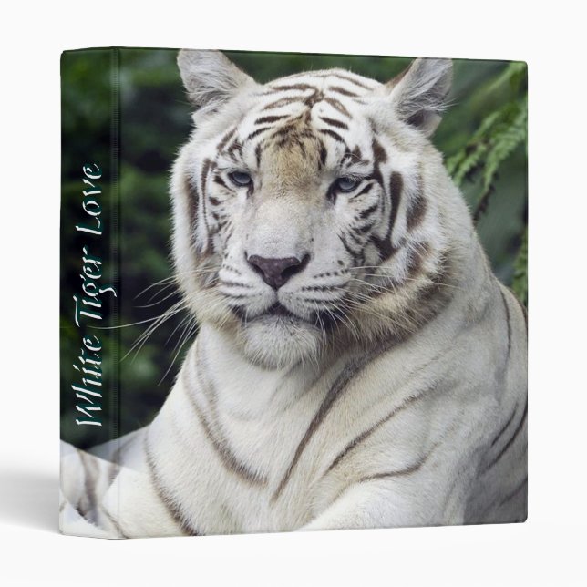 White Tigers 1 Binders (Front/Spine)