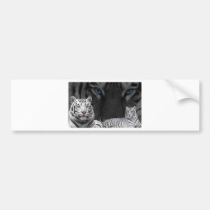 White Tigers Bumper Sticker