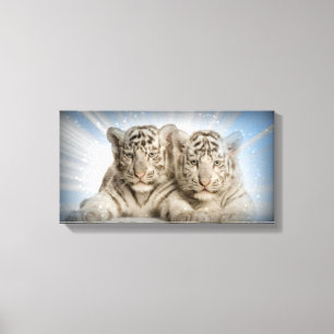 White Tigers Canvas Print