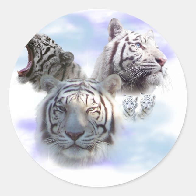 White Tigers Classic Round Sticker (Front)