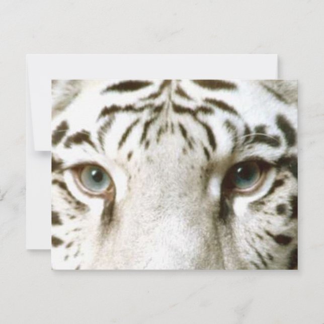 WHITE TIGER'S EYES INVITATION ~ EZ TO CUSTOMIZE! (Front)