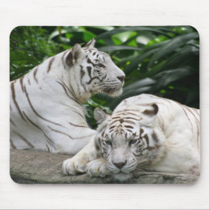 white tigers mouse pad