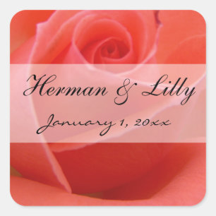 White Tipped Pink Rose Personalized Wedding Square Sticker