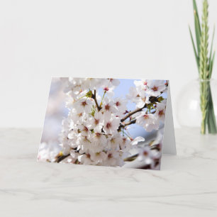White tree blossom in springtime holiday card