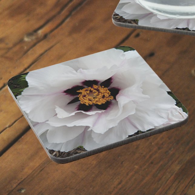 White Tree Peony Floral Coaster (In Situ)