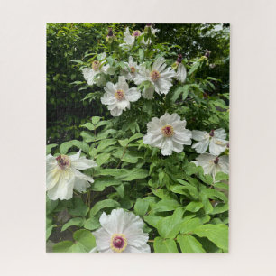 White Tree Peony, Seoul Jigsaw Puzzle