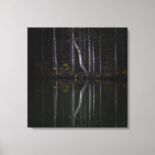 White trees reflecting in lake canvas print
