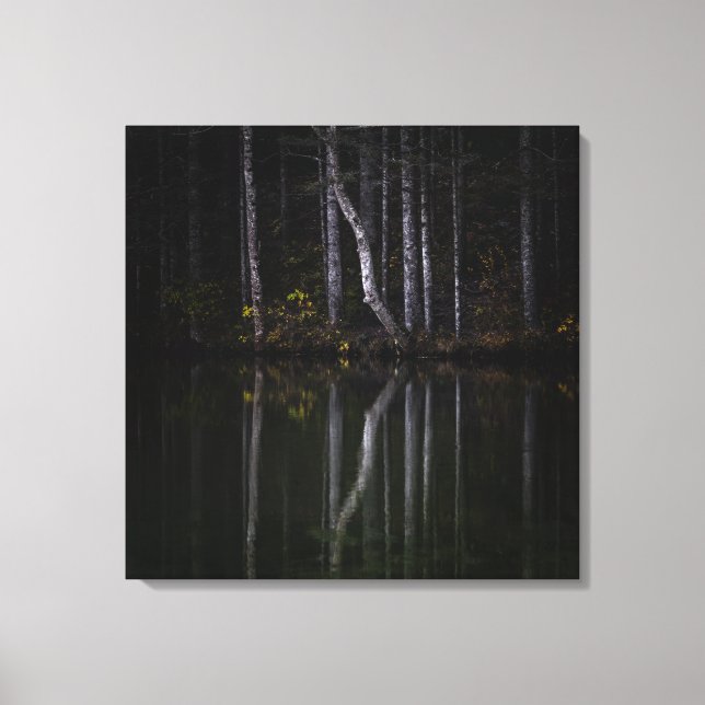 White trees reflecting in lake canvas print (Front)