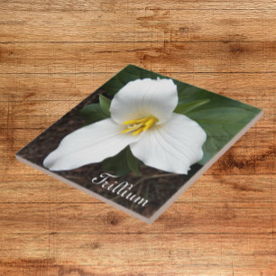 White Trillium Flower Floral Tile