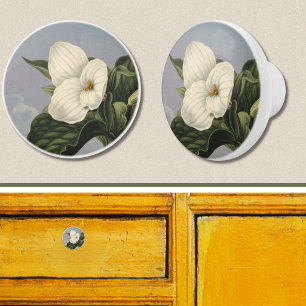 White Trillium Flower in Temple of Flora Style  Ceramic Knob