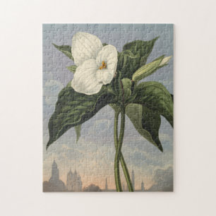 White Trillium Flower in Temple of Flora Style Jigsaw Puzzle