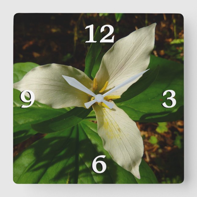White Trillium Flower Spring Wildflower Square Wall Clock (Front)