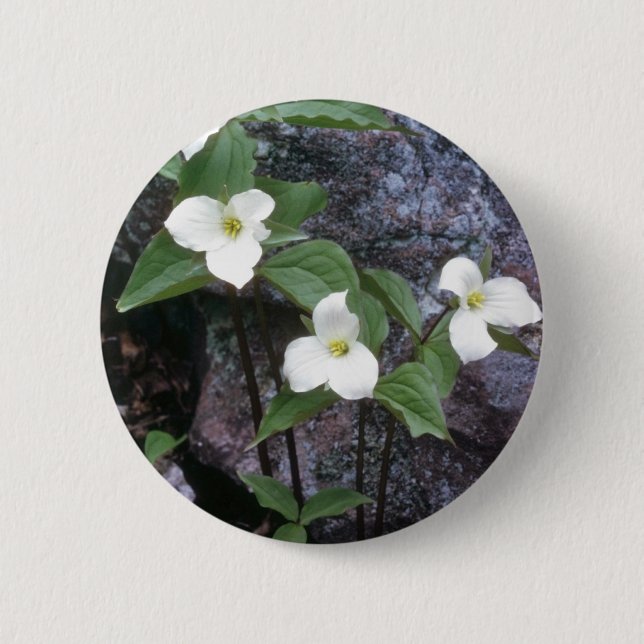 white Trillium flowers 2 Inch Round Button (Front)