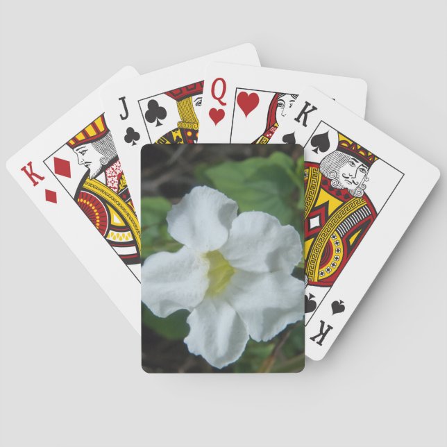 White Tropical Flower Found on Fiji Playing Cards (Back)